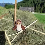 Alpenloft Theresia Ferlach