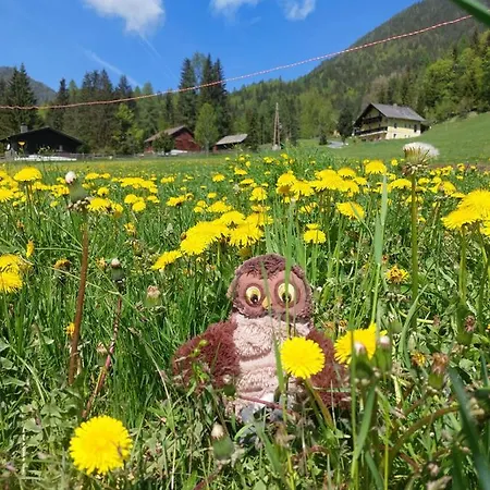 Alpenloft Theresia *