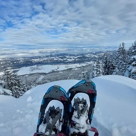 아파트 Alpenloft Theresia 펠레크