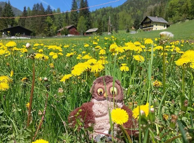 Alpenloft Theresia *