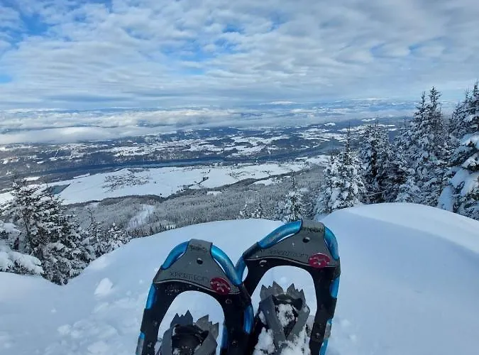 דירה Alpenloft Theresia פרלאך